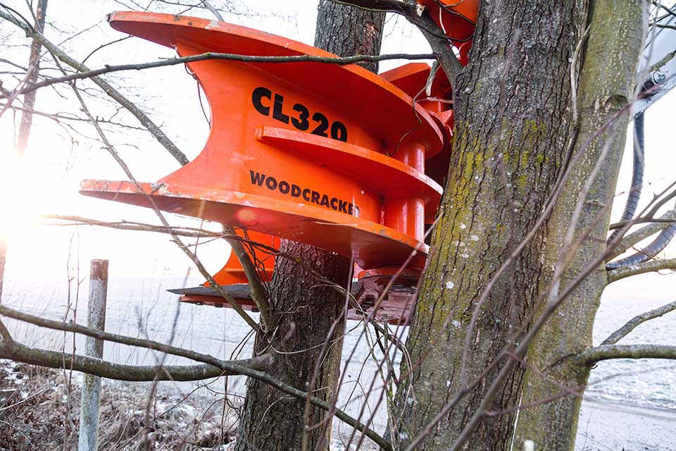 Woodcracker-CL320-7-1